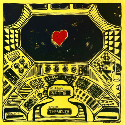DISCO - THE VOLTS